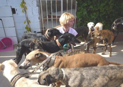 Charlotte del Rio and the finca galgos